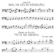 Črt Sojar Voglar - Pesmi za moj čelo, vzorec čelo parta